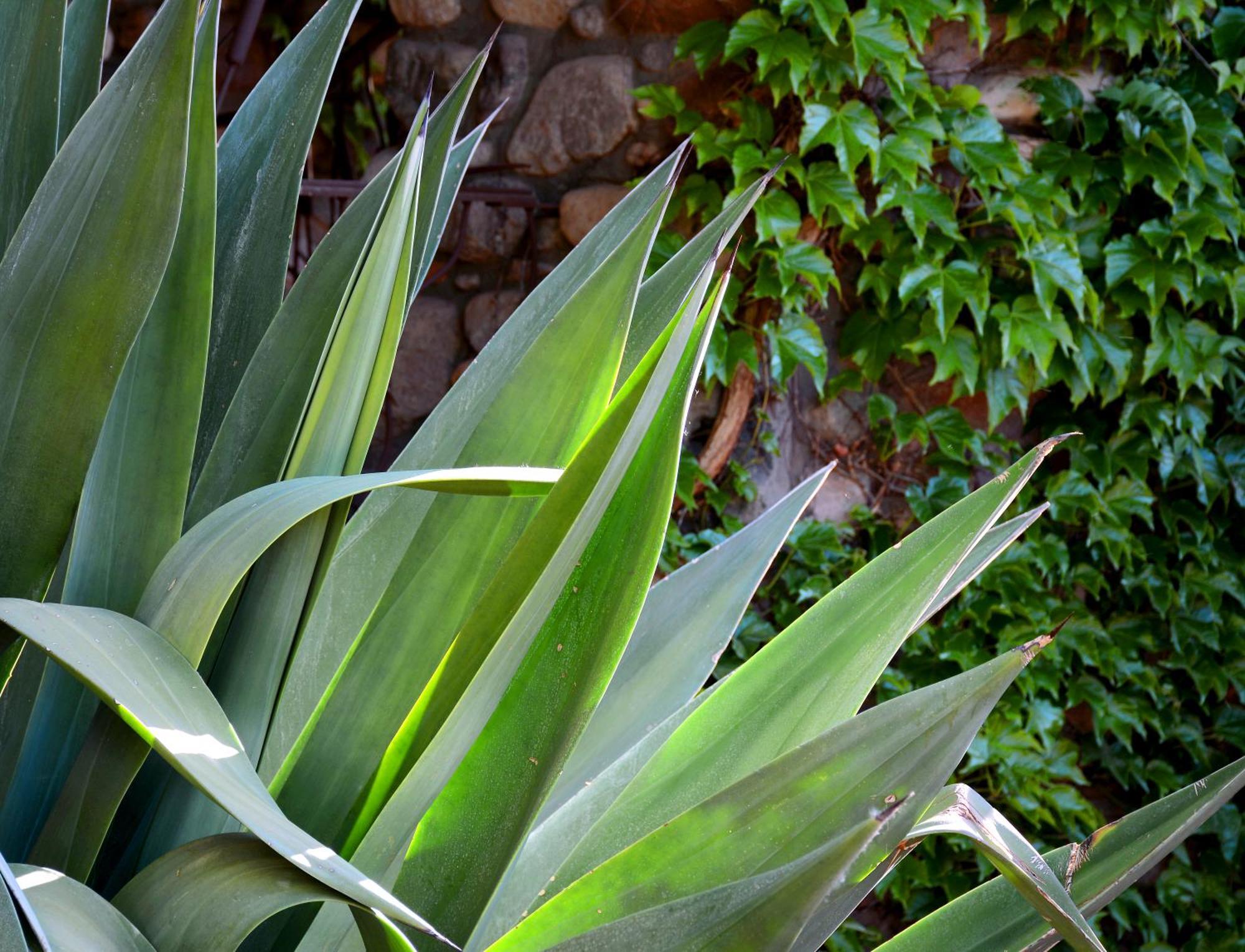 El Portal Sedona Hotel 外观 照片